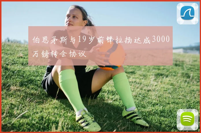 伯恩茅斯与19岁前锋拉扬达成3000万镑转会协议