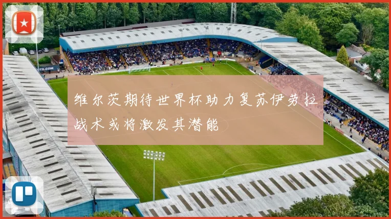 维尔茨期待世界杯助力复苏伊劳拉战术或将激发其潜能